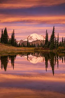 Mt. Rainier Reflecting in Tipsoo Lake at Sunrise, Mt. Rainier National Park, Washington
