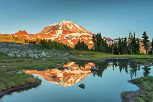 Rainier Prints: Mt. Rainier Reflection, Spray Park, Mt. Rainier National Park, Washington State, USA