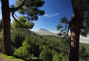Mt. Teide, Tenerife, Canary Islands, Spain