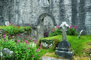 Middle Ages Prints: Muckross Abbey ruins and gravestones
