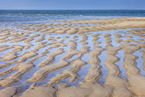 Mud Flats Prints: Mudflat landscape in the Ellenbogen nature reserve, Sylt, Schleswig-Holstein, Germany