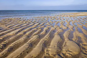 Mud Flats Prints: Mudflat landscape on the Ellenbogen Peninsula, Sylt, Schleswig-Holstein, Germany