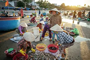 Marketplace Prints: Mui Ne Fish Market at dawn, Mui Ne, Binh Thuan Province, Vietnam