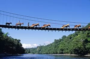 Water Way Gallery: Mule train crossing a bridge over the Rio Upano