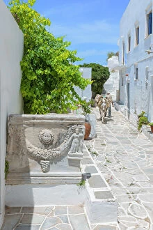 One Man Collection: Mule walking through Kastro village street, Kastro, Sifnos Island, Cyclades Islands, Greece