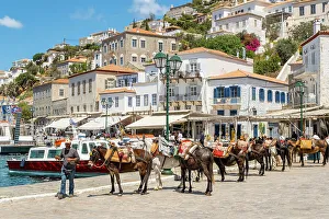 Hydra Prints: Mules/horses at the Harbour of Hydra Town, Hydra (Ydra), Saronic Islands, Greece