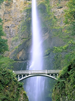 Water Fall Collection: Multnomah Falls