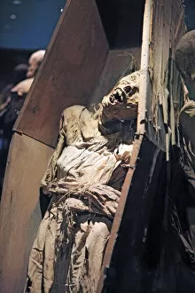 The Mummies Museum, Guanajuato, Guanajuato State, , Mexico