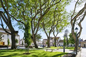Alcochete Prints: A municipal garden in Alcochete. Portugal