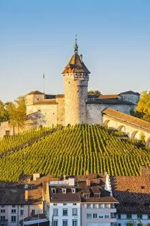 Images Dated 13th October 2017: Munot fortress and vineyards, Schaffhausen, Switzerland