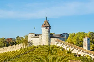 Munot fortress and vineyards, Schaffhausen, Switzerland