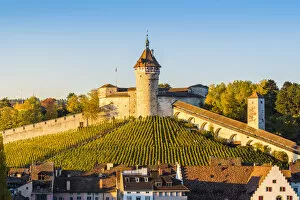 Images Dated 6th November 2017: Munot fortress and vineyards, Schaffhausen, Switzerland
