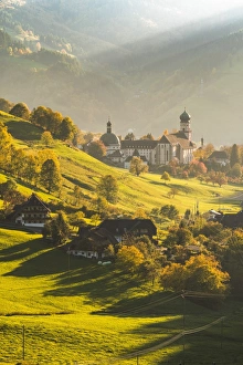 Munstertal, Black Forest (Schwarzwald), Breisgau-Hochschwarzwald, Baden-Wurttemberg, Germany