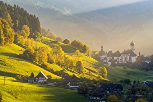 Munstertal, Black Forest (Schwarzwald), Breisgau-Hochschwarzwald, Baden-Wurttemberg, Germany