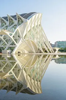 Landmarks Prints: The Museu de les Ciencies Principe Felipe or the The Science museum of Principe Felipe at the City of Arts and Sciences