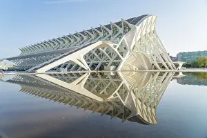 Arts Prints: The Museu de les Ciencies Principe Felipe or the The Science museum of Principe Felipe at the City of Arts and Sciences