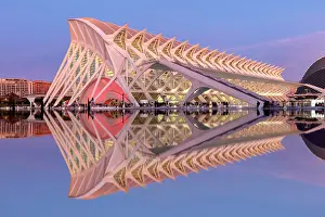 Valencia Prints: The Museu de les Ciencies (Science Museum) at dawn
