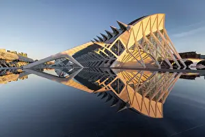 Valencia Prints: The Museu de les Ciencies (Science Museum) reflecting in water