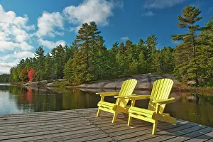 Muskoka (Adirondack) chairs and Red maple tree (Acer rubrum) at Grundy Lake Grundy Lake Provincial Park, Ontario, Canada