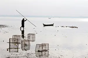 Livestock Prints: Myanmar, Burma, Mandalay, Amarapura, Man herding ducks with a stick
