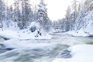 Images Dated 30th June 2014: Myllykoski rapids, Juuma, Oulankajoki National Park, Kuusamo, Finland