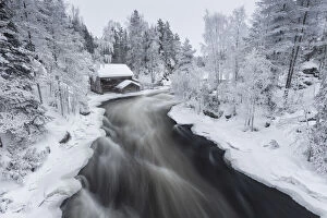 Finland Gallery: Myllykoski in winter, Kitka River, Kuusamo, Finland
