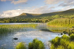 Mynydd Troed mountain from the sunlit shores of Llangorse Lake, Brecon Beacons National