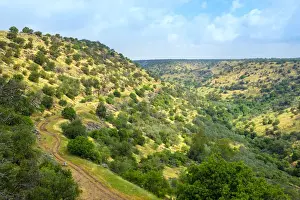 Occupation Prints: Nahal Meshushim Reserve, part of the Yehudiya Forest Nature Reserve, central Golan