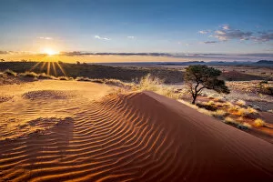 Images Dated 4th May 2018: Namib-Naukluft National Park, Namibia, Africa