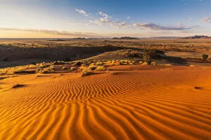 Images Dated 4th May 2018: Namib-Naukluft National Park, Namibia, Africa