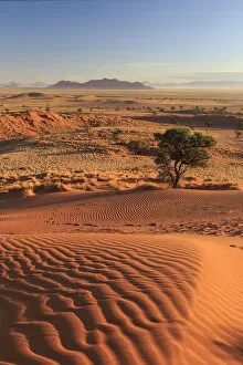 Images Dated 7th July 2016: Namibia, Namib Naukluft National Park
