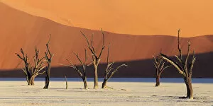 Images Dated 7th July 2016: Namibia, Namib Naukluft National Park, Sossussvlei, Deadvlei clay pan