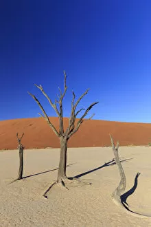 Images Dated 7th July 2016: Namibia, Namib Naukluft National Park, Sossussvlei Sand Dunes