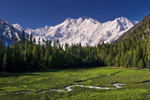 Nanga Parbat (Nangaparbat Peak)
