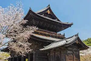Nanzenji Temple with blooming cherry tree, Kyoto, Japan