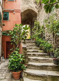 Steps Gallery: Narrow Street of Vernazza, Cinque Terre, UNESCO World Heritage Site, Liguria, Italy