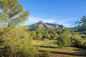 Manor House Prints: Natural landscape between Es Capdella and Finca Publica Galatzo