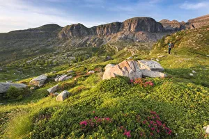 Natural Park Adamello Brenta in summer season Europe, Italy, Trentino Alto Adige Natural Park Adamello Brenta in summer season Europe, Italy, Trentino Alto Adige