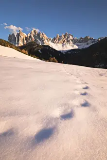 Natural Park Prints: the Natural Park of Puez Geisler in Villn√∂ssertal with some old footprints in the snow
