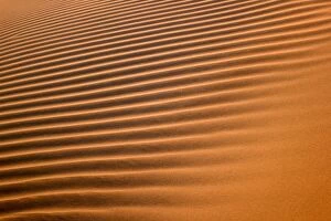 Images Dated 14th August 2017: Natural pattern of the sand dunes, Namib Desert, Namibia, Africa