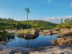 Forest Reserve Prints: Natural swimming pools at Rio On Pools