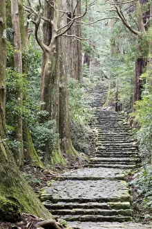 Nachi Prints: A nature trail in southern Japan, Kii peninsula close to Nachi falls