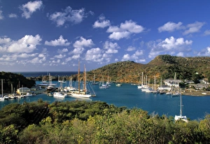 Nelsons Dockyard