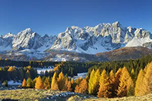 Images Dated 19th February 2021: Nemes Pasture against Sextner Dolomites, Dolomites, South Tyrol, Alto Adige, Italy