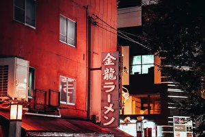 Kansai Prints: Neon lights in the streets of Osaka by night, Japan