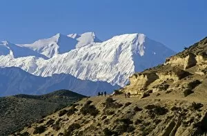 Nepal Collection: Nepal, Himalaya, Mustang. Trekkers on the main Mustang trail with the Annapurna massif soaring