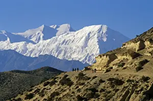 Walkers Prints: Nepal, Himalaya, Mustang. Trekkers on the main Mustang trail with the Annapurna massif soaring