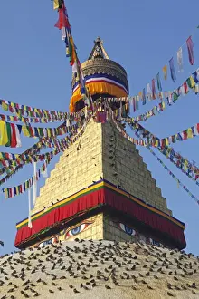 Land Mark Prints: Nepal. Kathmandu, Boudinath Stupa one of the holiest Buddhist sites in Kathmandu