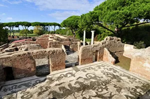 Images Dated 26th November 2013: Neptune Baths of Ostia Antica at the mouth of the River Tiber, Ostia, Rome, Italy