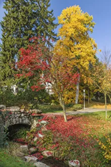 Neropark in autumn, Wiesbaden, Hesse, Germany